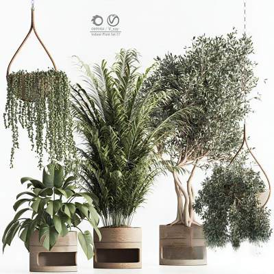 现代绿植盆栽-24